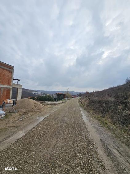 Teren construibil cu utilitati Saldabagiu de Munte 900m - 4