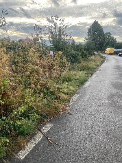 Vand parcele de teren Paun Barnova - 4