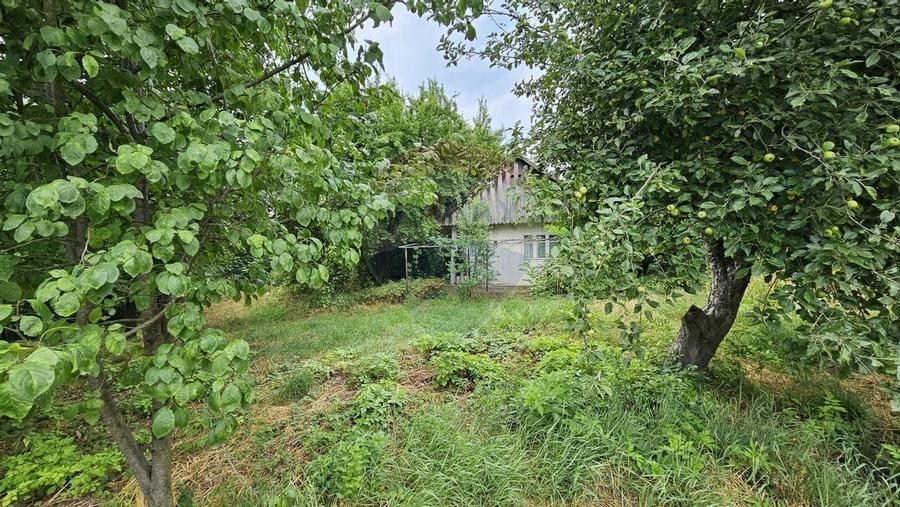 Teren intravilan 2,036mp Padureni-Sendriceni, Botosani - 5