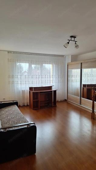 Casa de inchiriat Curtea de Arges - 3