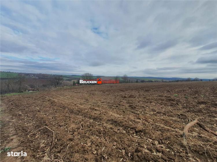 Teren de vanzare - 5