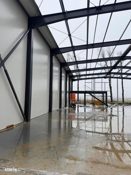 7 hale noi 2026 Afumati- Petrachioaia - 1