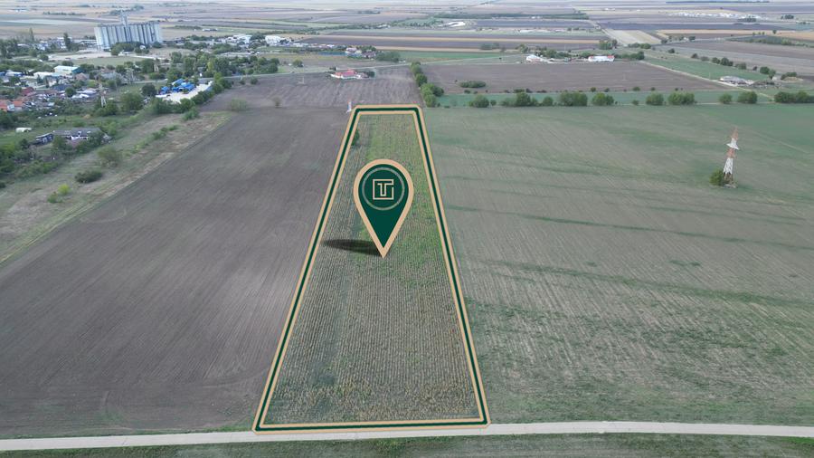 Teren intravilan cu poțențial de 25500 mp in Pecica - 3