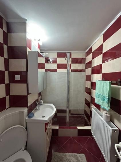 Apartament 2 camere Plantelor, mobilat utilat, etaj 2 - 8