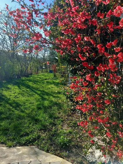 De vanzare casa de vacanta - 2