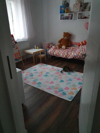 Vand - Apartament cu 3 camere si curte proprie - 5