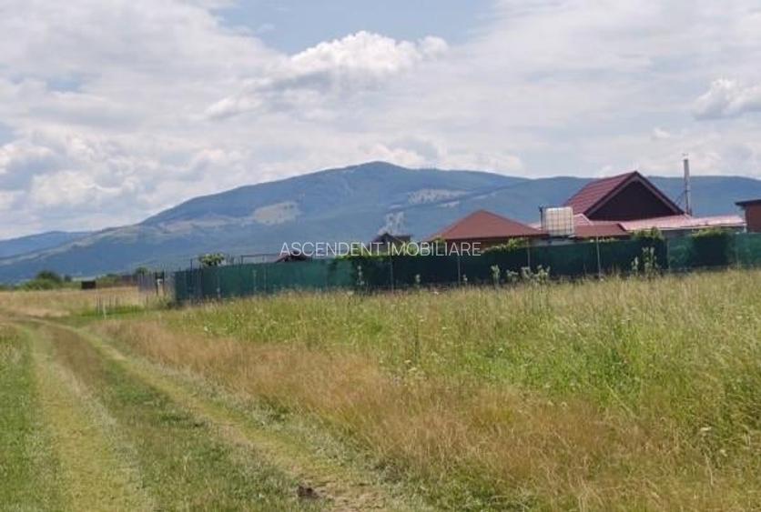 Cu PUZ, Prejmer, Brasov