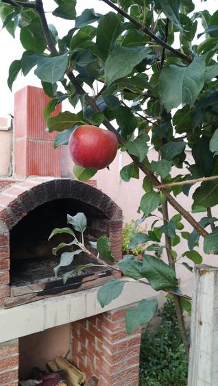 Bragadiru-Safirului Vila Individuala P+1+Pod An 2015 - 11