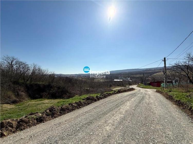 Loturi teren intravilan,sat Goruni - com.Tomesti,de vanzare. - 1