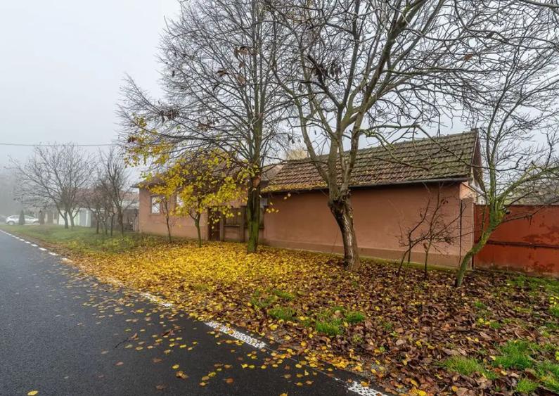 De vanzare Casa cu Gradina Generoasa in Doroban?i - 1