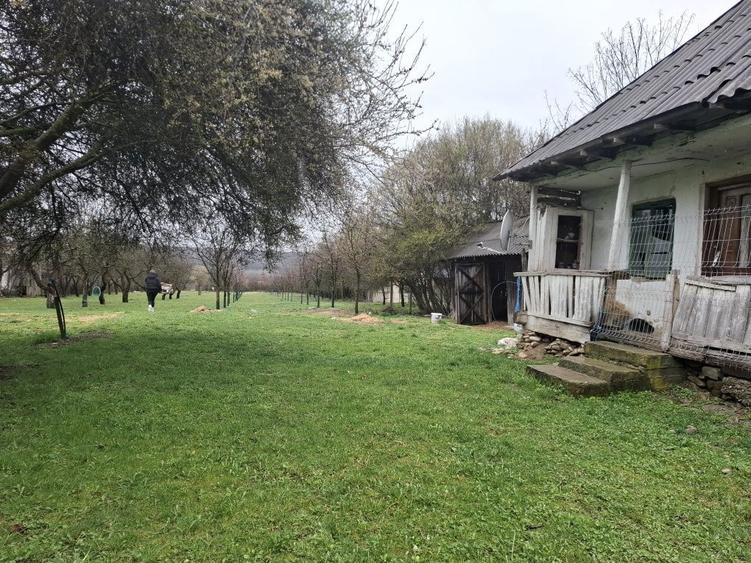 Teren de vanzare Gheboieni DB intravilan+extravilan - 2