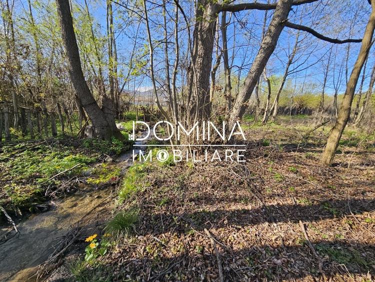 Vanzare teren 4606 mp - Sat Balta - Runcu - la aproximativ 20 km de Targu Jiu - 7