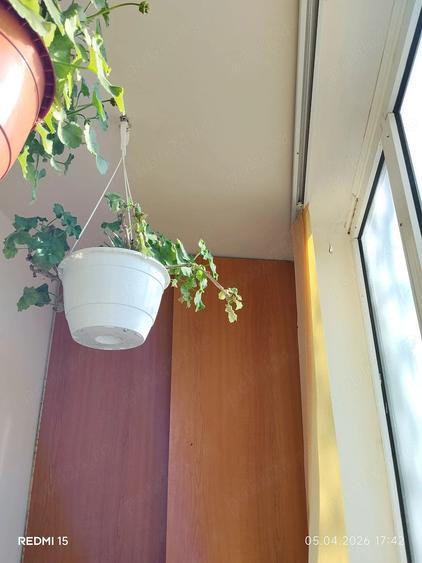 Apartament 2 camere confort 1, oras Giurgiu, bulevardul Bucuresti, zona linistita (spate Patibar) - 6