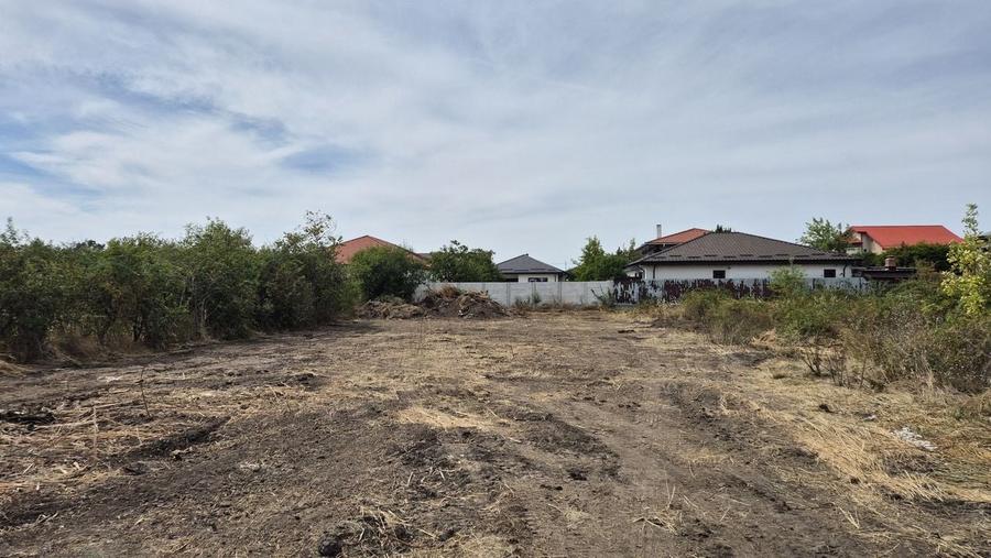 Teren intravilan 1000 mp - Domnesti - 4