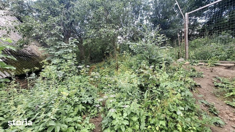 Casă cu 2 camere cu Teren 4000 Mp în Iara