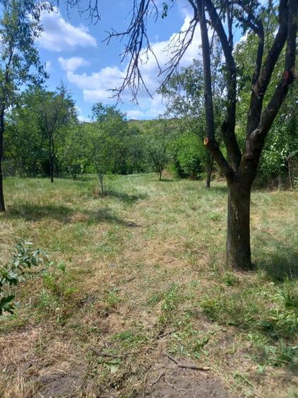 vand casa si teren,acte la zi,apa,lumina,gaze,put - 1