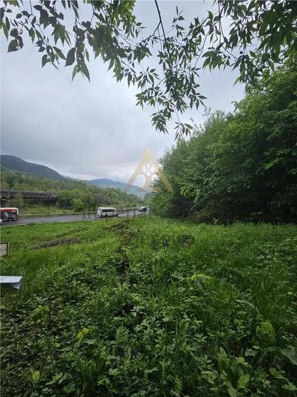 TEREN PENTRU BUSSINESS 2842 MP DE VANZARE IN STATIUNEA TARGU OCNA - 6