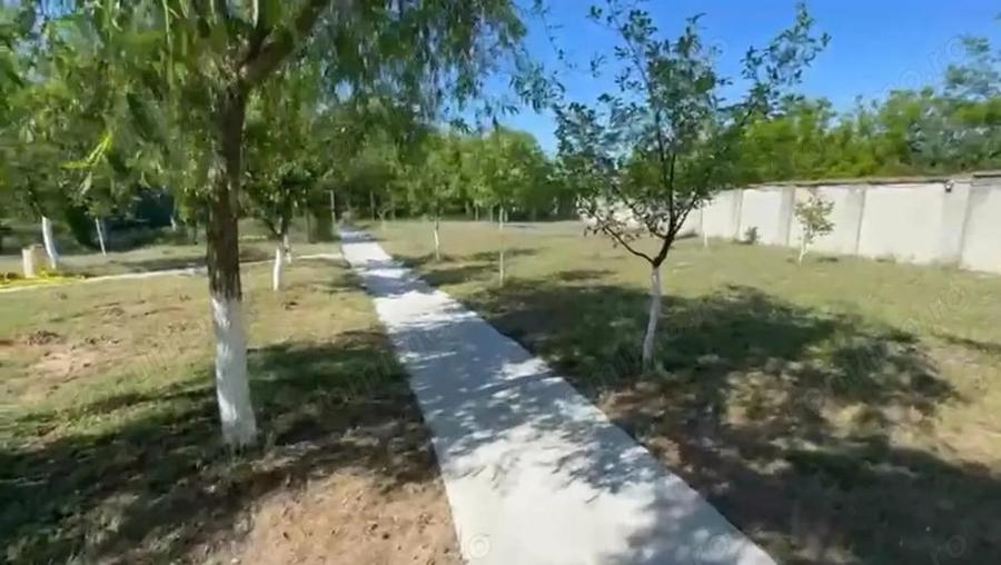 Casa deosebita S+P+E, 440 mp utili, 5000 mp teren, Malu Mare - 3