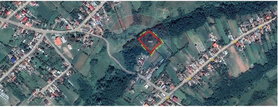 Teren/Padure  3,700mp / partial  intravillan  Tatomiresti - 2
