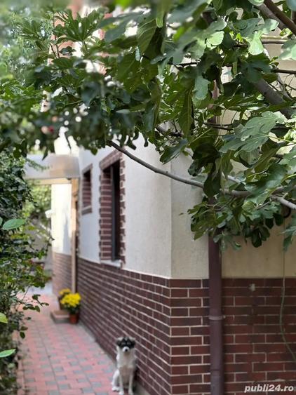 casa de vanzare zona centrala - 3