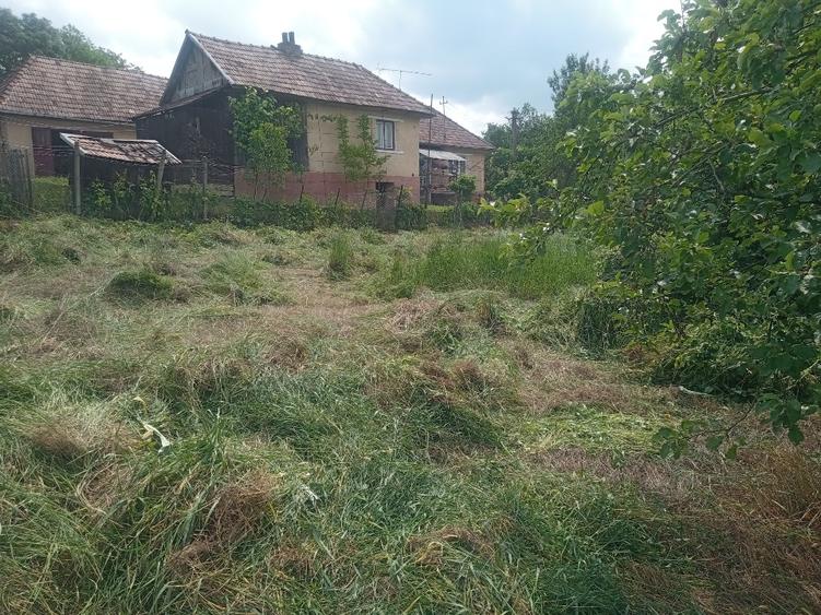 Casa de Vanzare - 2