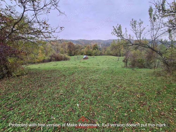 Teren intravilan in Provita de Jos 14.340 mp-- 90.000 e - 6