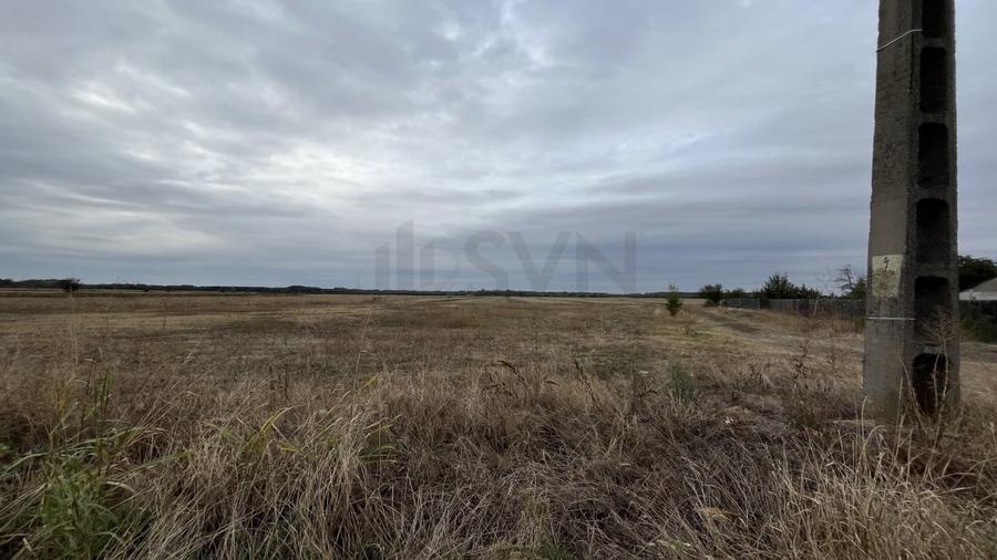 REL4001196 Teren intravilan construibil zona rezidentiala - 4