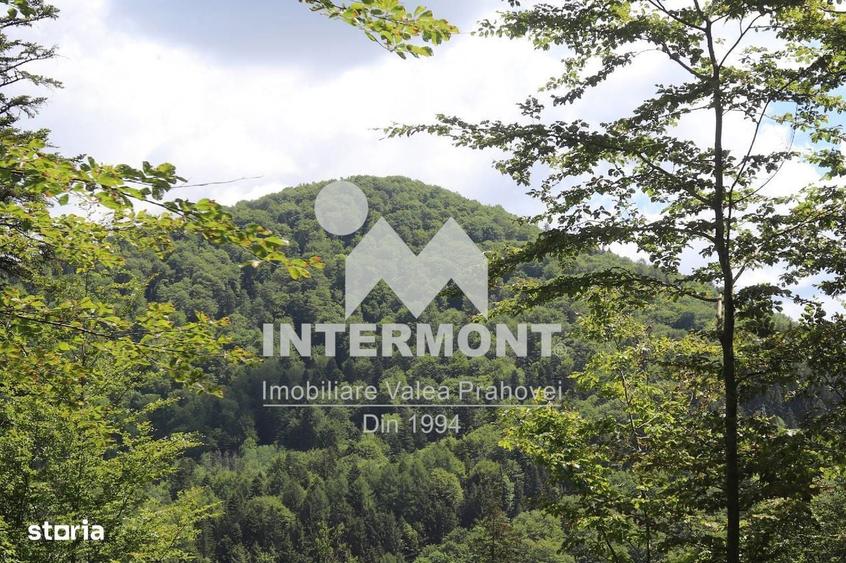 Teren Sinaia Zona Centrala, 500mp, Vedere Montana, Toate Utilitatile - 4