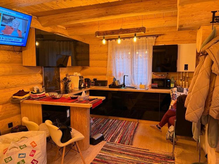 Cabana 75 mp amprenta X 2 teren 250 mp de vanzare Vartop-Arieseni - 8