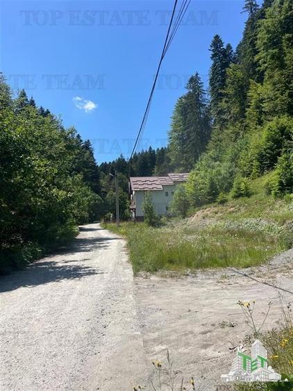 IDEAL INVESTITIE TEREN PREDEAL, 1936 mp intravilan, toate utilitatile, padure - 5