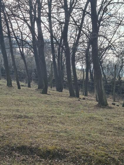 Teren Intravilan - 1