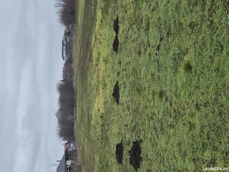 Casa si teren intravilan Aroneanu 4000 mp - 1