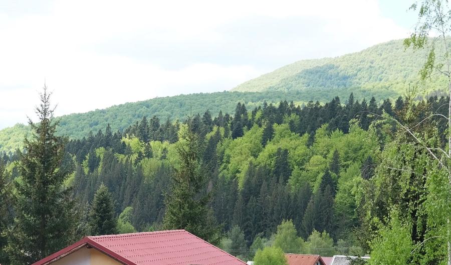 Casă individuală cu 4 camere cu Canalizare în Cheia