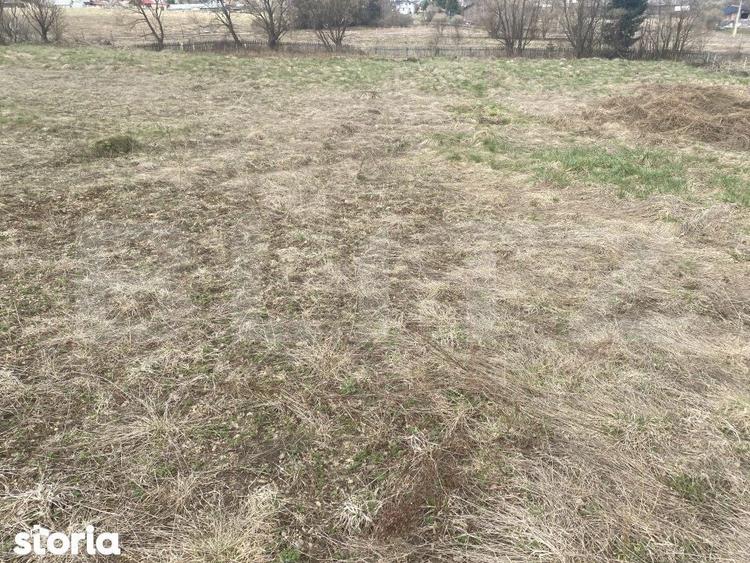 Teren intravilan de vanzare, 4047 mp, zona Vatra Dornei - 3