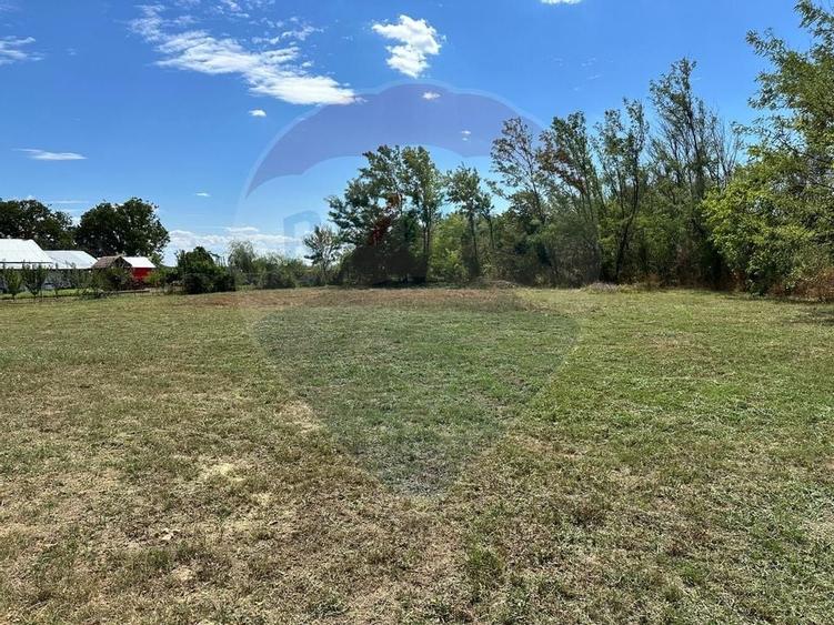 Teren Intravilan - Constructie 2,494mp Habud / DJ 101G - 8