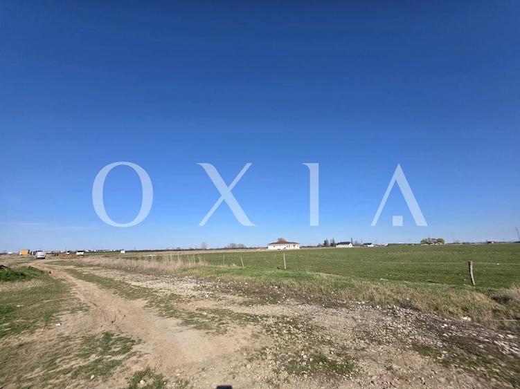 AX1214 Giroc, 15 Parcele disponibile pentru dezvoltare imobiliara, D/S+P+1E+M/Er - 4