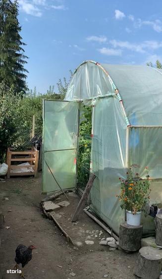 Casa batraneasca de vanzare, Gemenea Bratule?ti, Com Voine?ti - 11