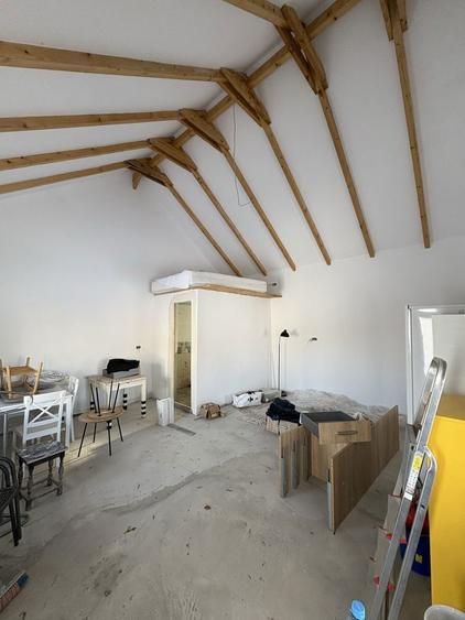 Vand Casa cu teren 1900mp com Nicolae Balcescu - 1