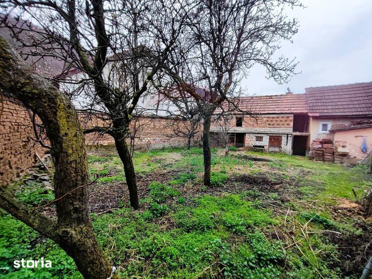 Casa cu farmec tradi?ional in Sali?te 1.000 mp teren, priveli?te! - 5