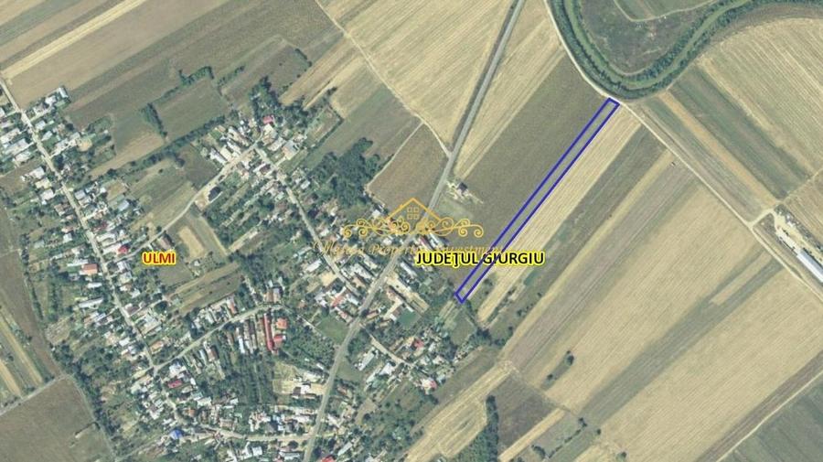 Casa demolabila + teren, 7470 mp Trestieni Ulmi - 4