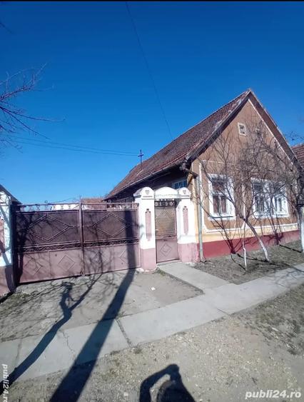Vand casa - 4