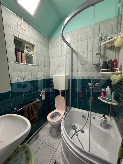 Casa Individuala cu 1.723 mp Teren si Livada, Zona Grigorescu - 7