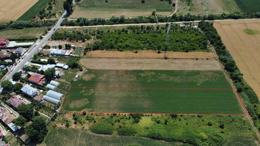 Teren Constructii Intravilan 4750mp SABARENI - 0% COMISION - 3