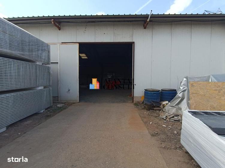 Hala cu teren Tartasesti - 3