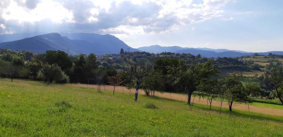 Teren intravilan BRAN-Bradul Inalt-Priveliste panoramica - 8