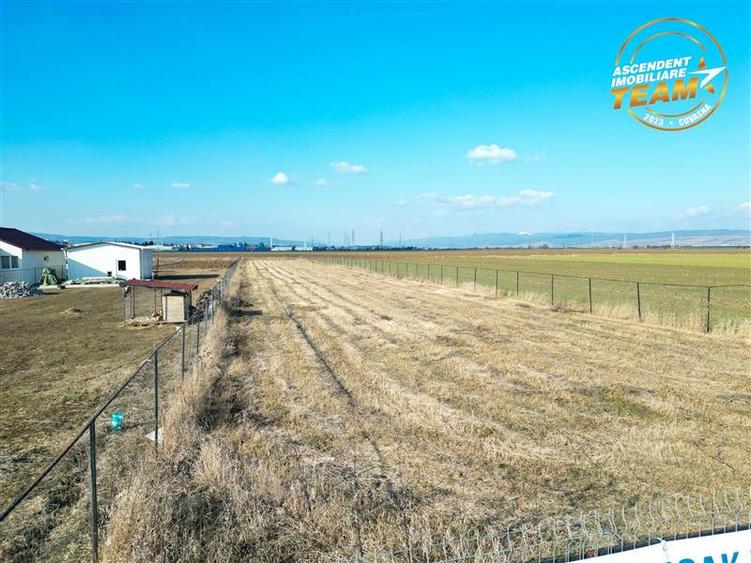 Liniste si aer curat in proximitatea Municipiului Sfantu Gheorghe - 19