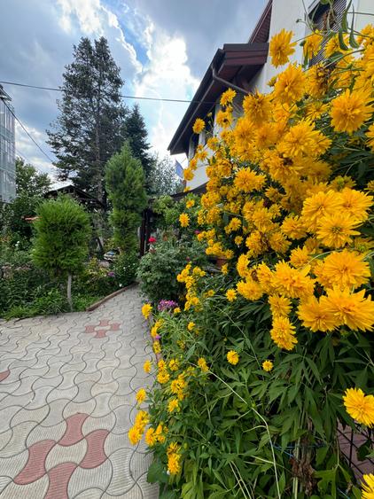 Vanzare vila lacul Baneasa - 22