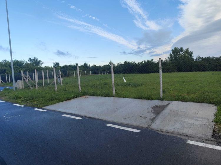Teren de vanzare 7.8 arii Vetis, Strada Merilor - 6