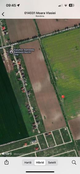 Teren Caciulati Moara Vlasiei 4900 mp 4 mp - 8