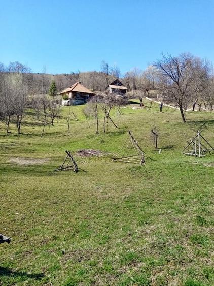 Teren retras panoramic Valea Doftanei 1350 mp panta lina, cu utilitati - 4